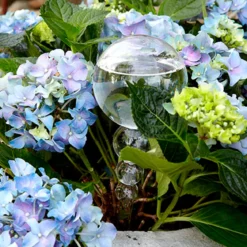 Accesorio de cristal autorriego Olivia de Affari of Sweden