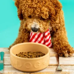 Bol cerámico para perros y mascotas Mason Cash