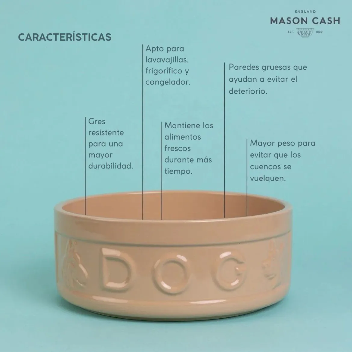 Bol cerámico para perros y mascotas Mason Cash