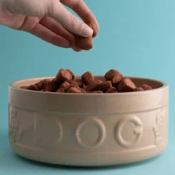 Bol cerámico para perros y mascotas Mason Cash
