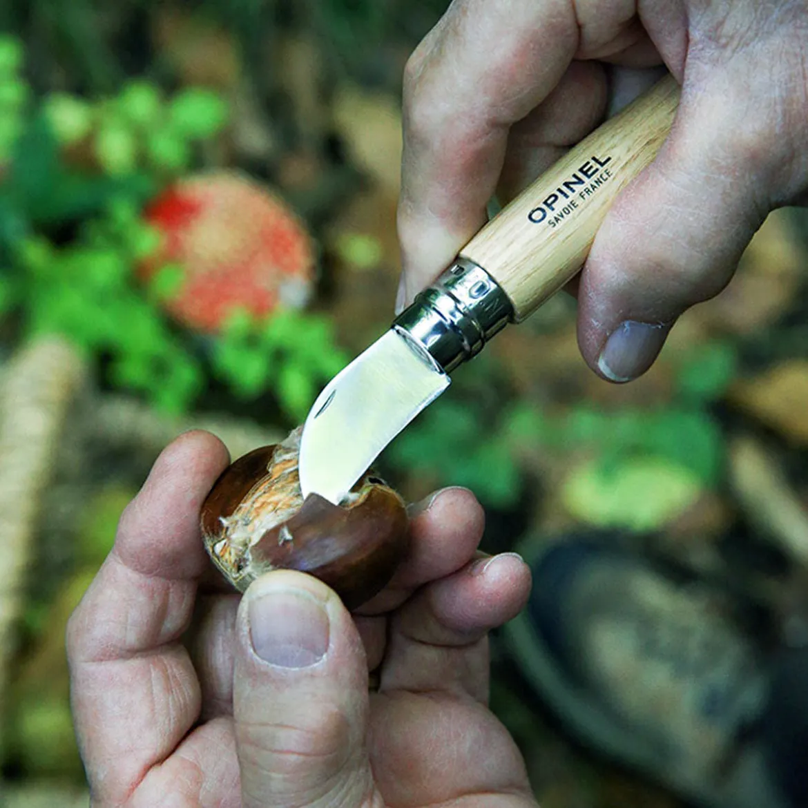 Cuchillo plegable para ajo, fruta y castañas de Opinel