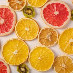 Deshidratador de alimentos WMF