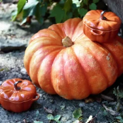 Mini cocotte cerámica hortalizas Staub