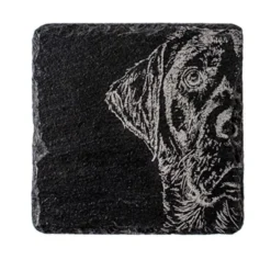 Posavasos individuales de pizarra Selbrae