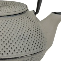 Tetera de hierro fundido Jang Bredemeijer