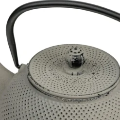 Tetera de hierro fundido Jang Bredemeijer